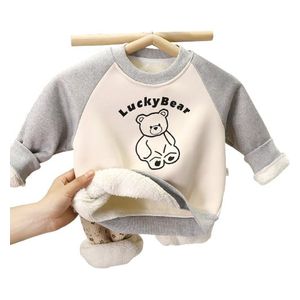  Boys Lucky Bear Sweatshirt - 2-3Y 