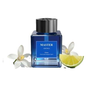  مبخرة عطور ماستر - MSH-01 - سعة 500 مل - ازرق 