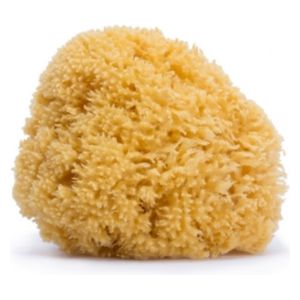  Suavinex Medium Natural Sponge - Sponge - Yellow 
