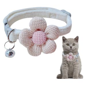  Cat Collar - White 