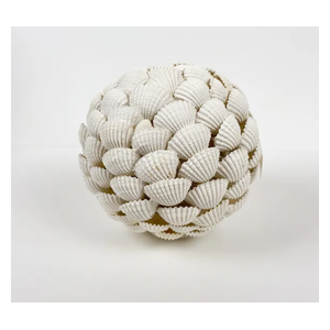  صدف مزهرية مطفية بنقشة صدفة بحرية - SY00B 