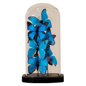  SADAF Curated Blue Butterfly Display - F79 - Blue 