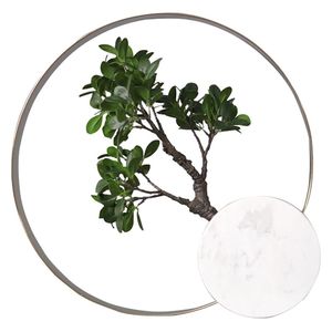  SADAF Circular Wall Planter - T59 