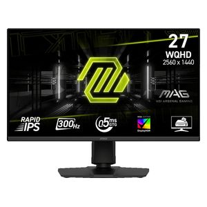 LG 27-Inch 24GS50F-B - Series - Flat Computer Monitor - 300Hz - 0.5ms Response Time - Rapid IPS QHD