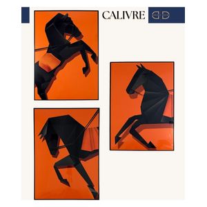  Dreamy decor Set of 3 Framed Prints - 70x 50cm - Orange 