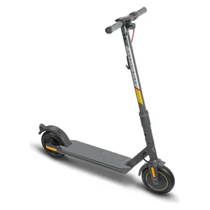 Shell Electric Scooter SR 5S - Maximum Speed 20 km/h - 36 V -  Gray
