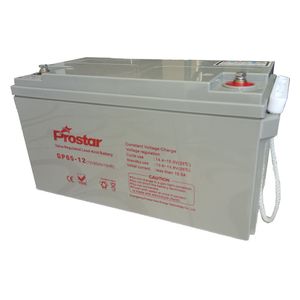  Prostar - UPS Battery - 12V-65Ah VRLA - Maintenance-Free - Gray 