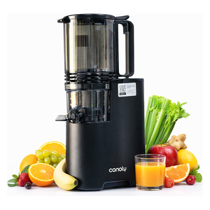 Golden House JE-75B - Slow Masticating Juicer - Very Black