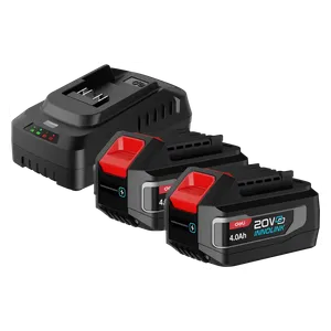  Deli Tools DE-CM20A4E - Lithium-Ion Battery Set with Charger, 20V - Black 