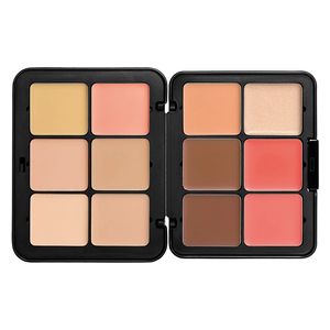  Ever Skin All In One Palette Harmony 1 Light to Medium - Make Up For Ever 