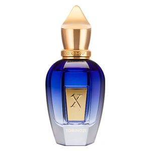  عطر تورينو 21 اودي بارفيوم 100 مل - زيرجوف 