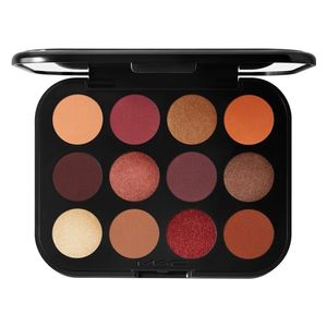  Connect In Colour Eye Shadow Palette (Future Flame) - MAC 