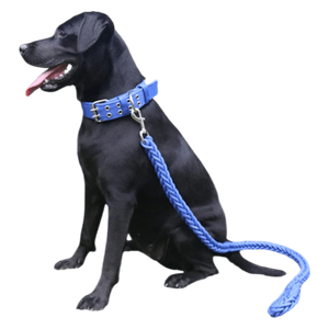  طوق للكلاب - M 