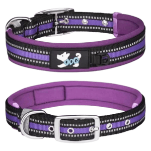  طوق للكلاب - بنفسجي 