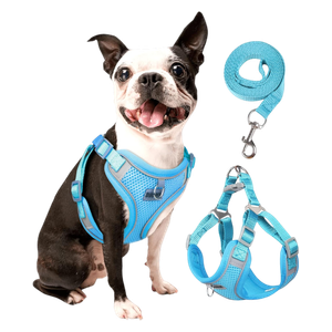  حزام للكلاب - XL 