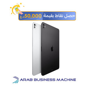 ابل اي باد برو 11.0 2024 - 256 كيكابايت