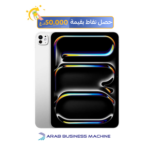 ابل اي باد برو 11.0 2024 - 256 كيكابايت