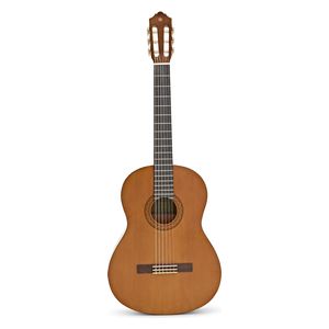  Yamaha Classic Guitar c40 - Walnut 