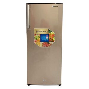 Elryan RF299LC-V1 - 9ft - 1-Door Refrigerator - Gold