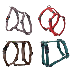  حزام للحيوانات الأليفة - متعددة الالوان 