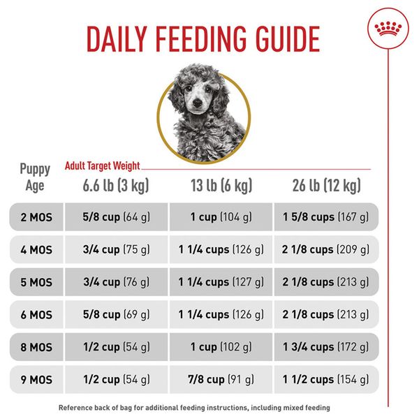  Royal Canin Poodle Puppy Dog Food - 1.5 kg 