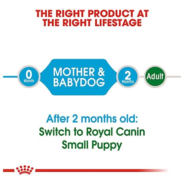 Royal Canin Mini Starter Dog Food - 4 kg