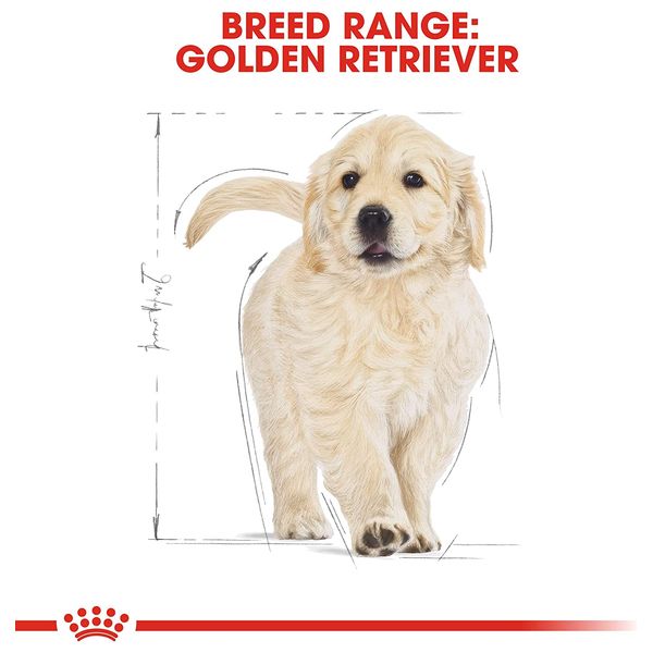  Royal Canin Golden Retriever Puppy Dog Food - 12 kg 