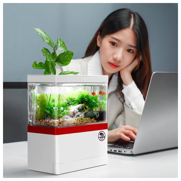  A4Tech Decorative Small Aquarium - 18x10x20cm 