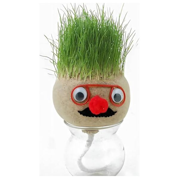  وعاء نبات داخلي صغير برأس عشبي - بيجي 