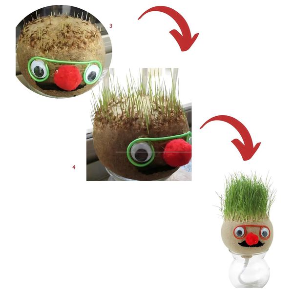  وعاء نبات داخلي صغير برأس عشبي - بيجي 