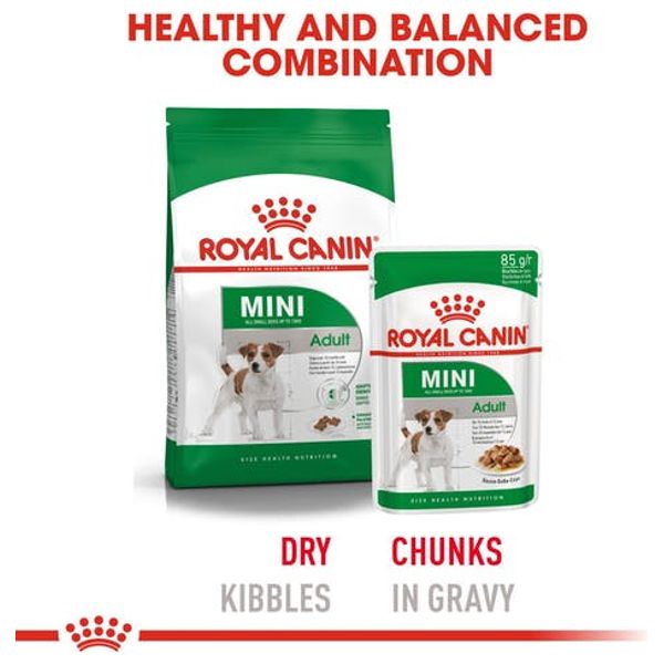  رويال كانين طعام للكلاب صغيرة الحجم البالغة - 85 غم 