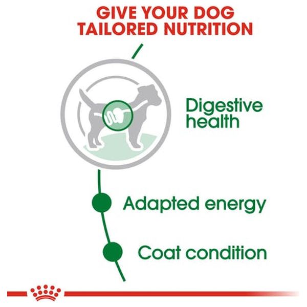  رويال كانين طعام للكلاب صغيرة الحجم البالغة - 85 غم 