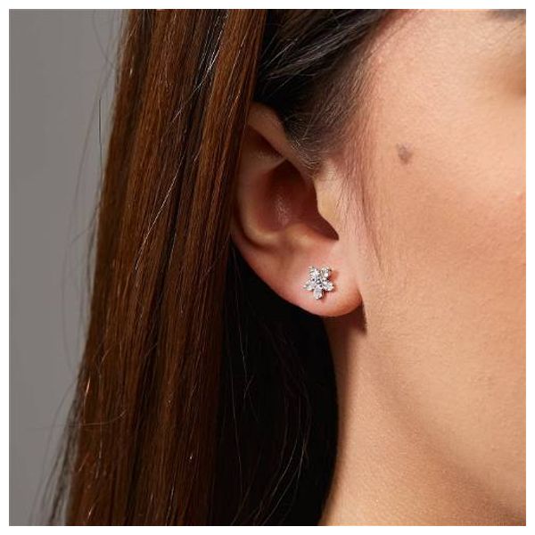  Pandora Snowflake Shape Earrings 
