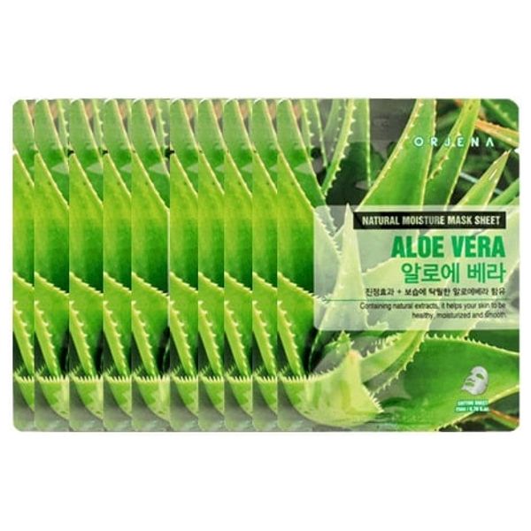 agave victoriae Agave victoriae-reginae "Albomarginata"