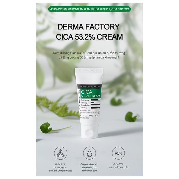  Derma Factory Cica 53.2% Cream 