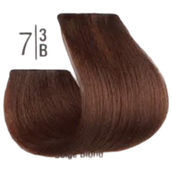  Spa Master Hair Colour Cream - Beige Blond + Oxygen - 30 Vol 