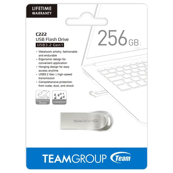 Team Group TC2223256GS01 - Flash drive - 256GB