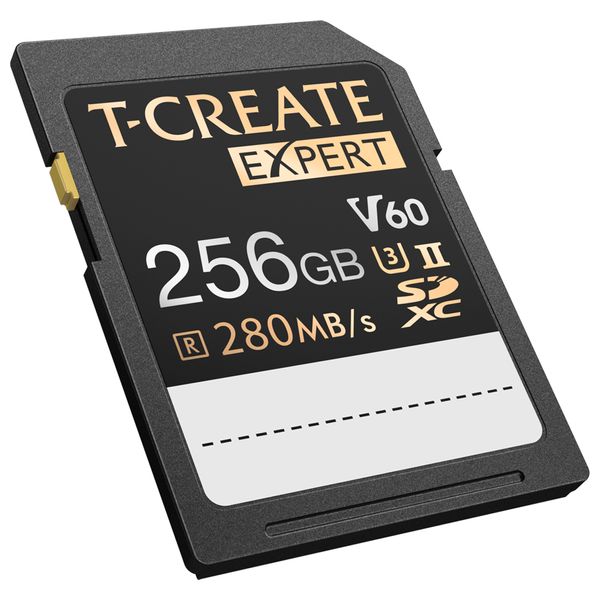 بطاقة تخزين تيم جروب - TTCSDY256GIIV6001 - بسعة 256 جيجابايت