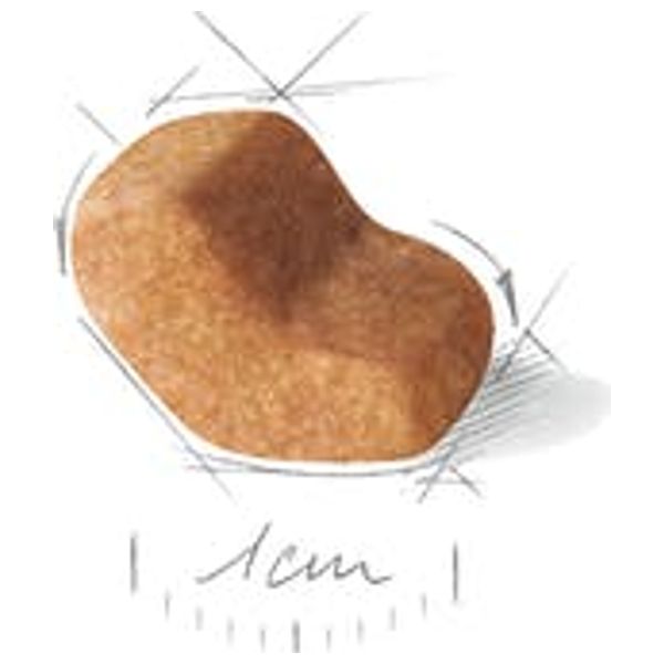  رويال كانين طعام لجراء الشيواوا - 1.5 كغم 