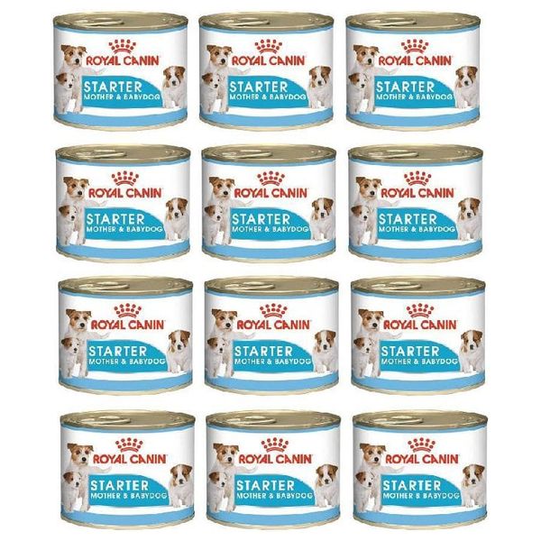  رويال كانين طعام كلاب للأم والجراء - x12 