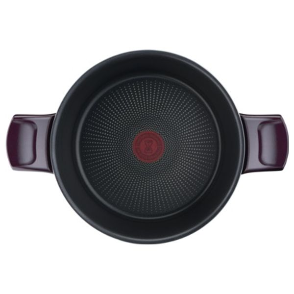  Tefal D5224582 - Casserole 22Cm - Black 