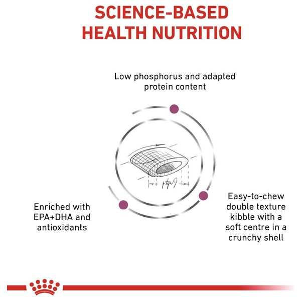  رويال كانين طعام قطط للقصور الكلوي المزمن - 2 كغم 