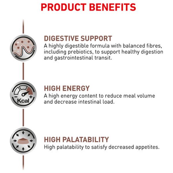  Royal Canin Gastrointestinal Cat Food - 1X 