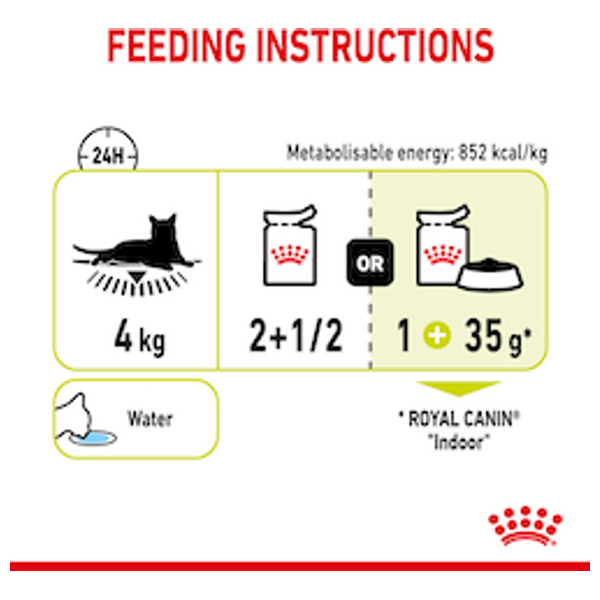  رويال كانين طعام للقطط الحساس للرائحة - 12 قطعة 