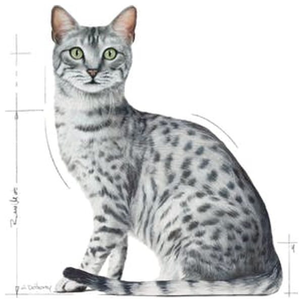  Royal Canin Indoor Sterilised Cat Food - 1 Piece 