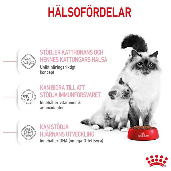  رويال كانين طعام قطط للام والطفل - 400 غ 