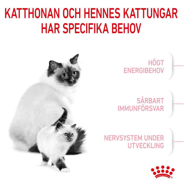  رويال كانين طعام قطط للام والطفل - 400 غ 