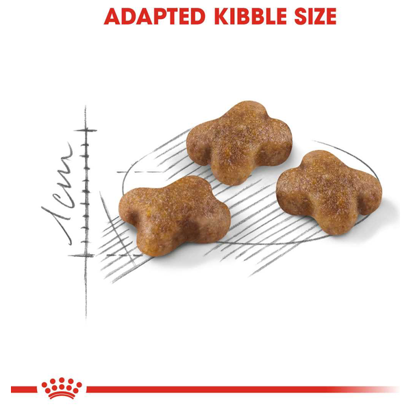  رويال كانين طعام قطط الصغيرة - 400 غم 