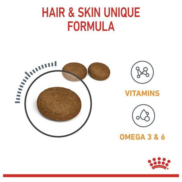  Royal Canin Hair & Skin Cat Food - 400 g 