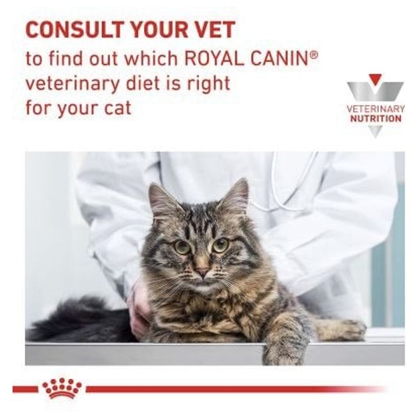  Royal Canin Skin & Coat Cat Food - 85 g 